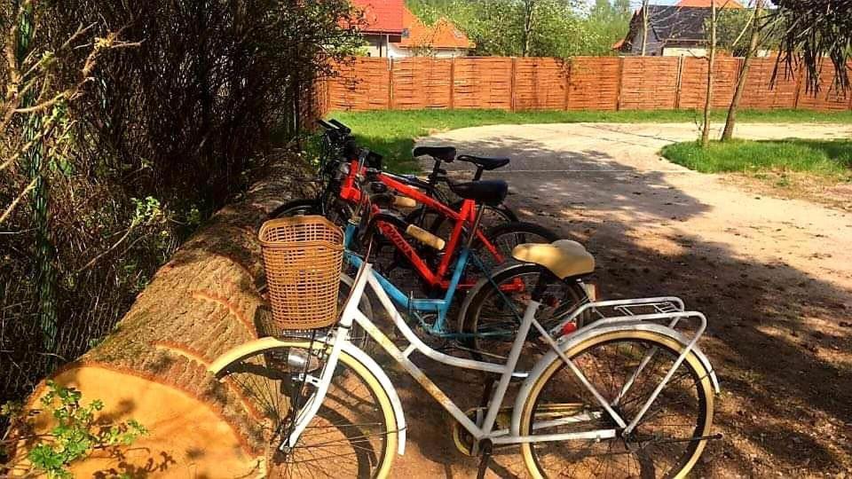 Miodowy Zakatek Caloroczne Domki I Pokoje Przy Suntago, Deepspot, Pyszne Sniadania, Grill, Ognisko Mszczonów Exterior foto