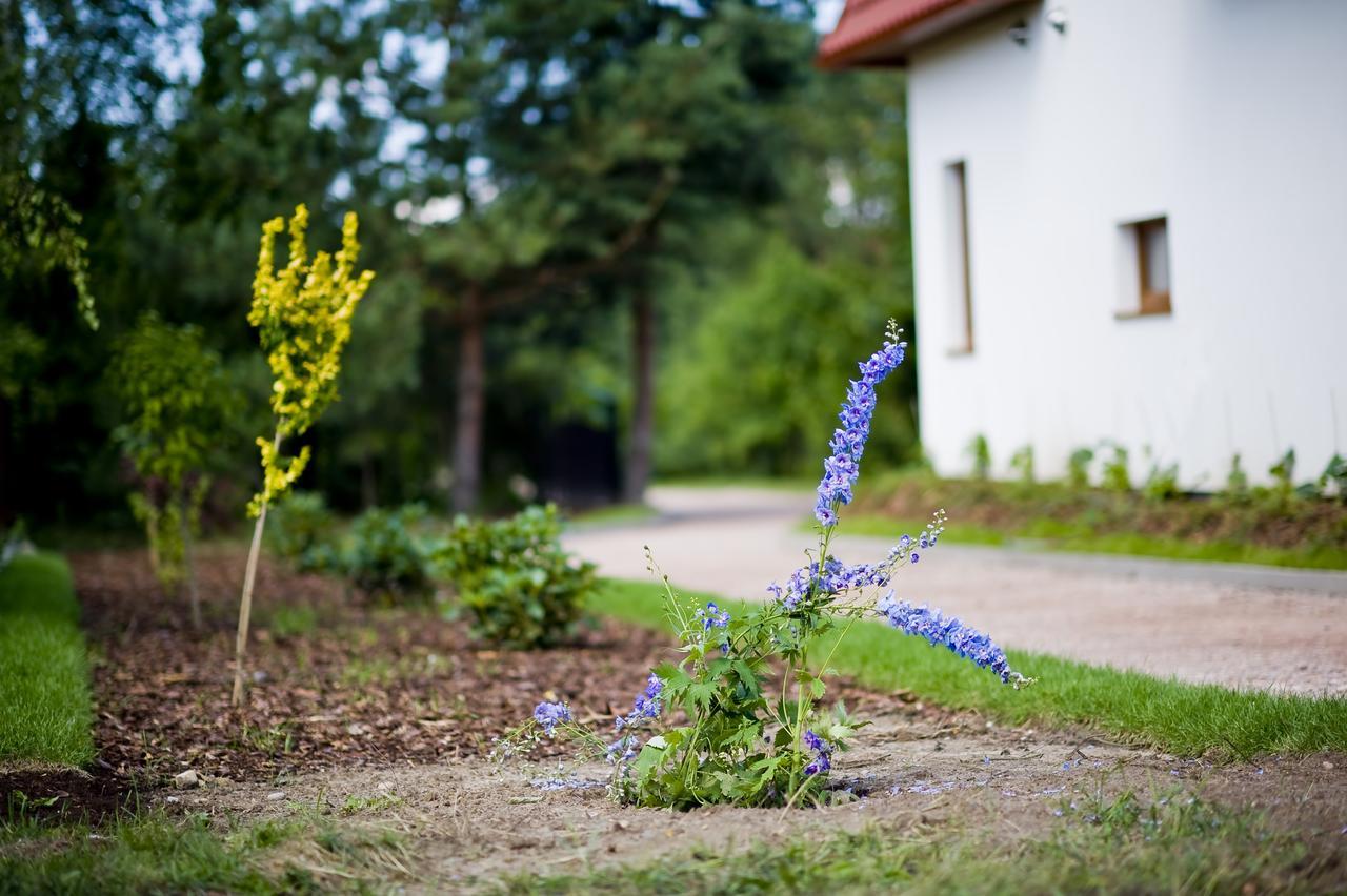 Miodowy Zakatek Caloroczne Domki I Pokoje Przy Suntago, Deepspot, Pyszne Sniadania, Grill, Ognisko Mszczonów Exterior foto